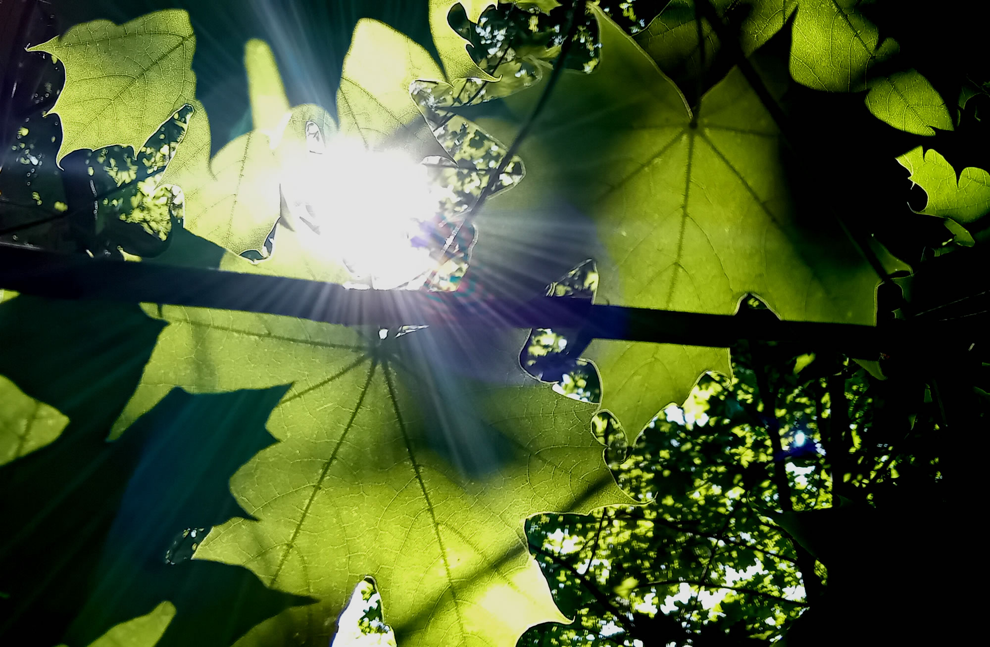 Lights